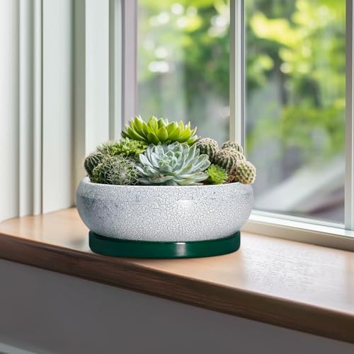 Succulent Planters 10 Inch (10 Inch / Blackish Green-white)