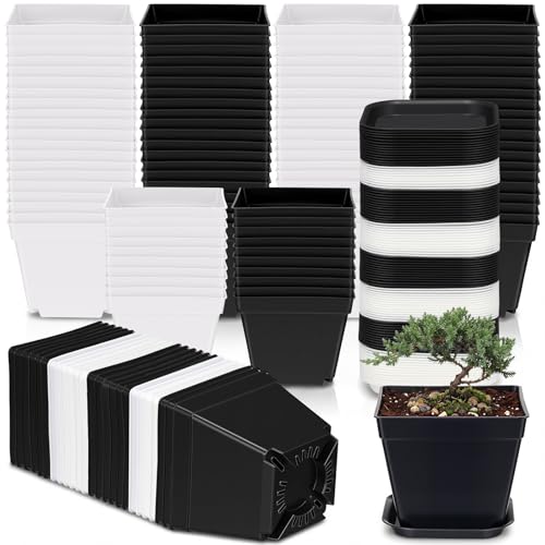 100 Pcs 4 Inch Small Plants Pot Bulk Flower Pots (Black and White)
