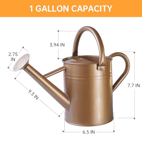 Metal Watering Can for Outdoor Plants (Gold)