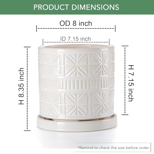 Ceramic Plant Pots Indoor (8 inch / White1)