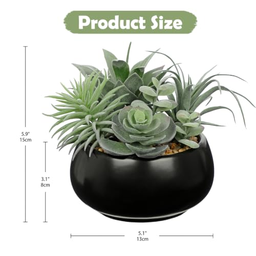 Artificial Succulents in Pots Fake Plants Faux Succulent Flowers Arrangement Potted Plant in Vase Black Ceramic Planter Bowl Office Desk Bathroom Shelf Indoor Outdoor Home Decor (Sage Green)