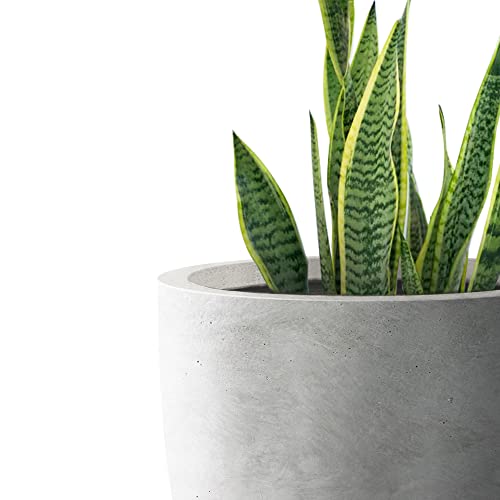 Large Round Bowl Pale Gray Concrete Planter 18" Dia