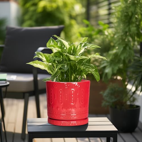 10 Inch Plant Pot (10 Inch / Red)