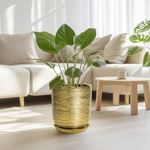 Ceramic Flower Pot for Indoor Plants