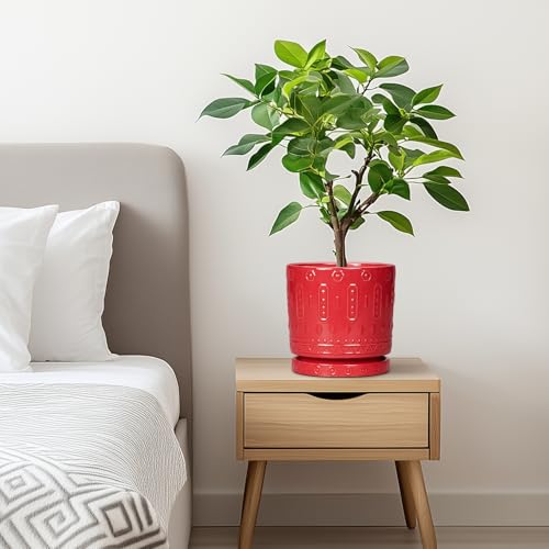 6 Inch Plant Pot (6 Inch / Red)