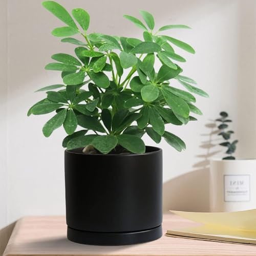Ceramic Plant Saucer Pot Tray 6 (6+8+10in 3pack / Black)