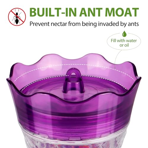 Glass Hummingbird Feeders for Outdoors