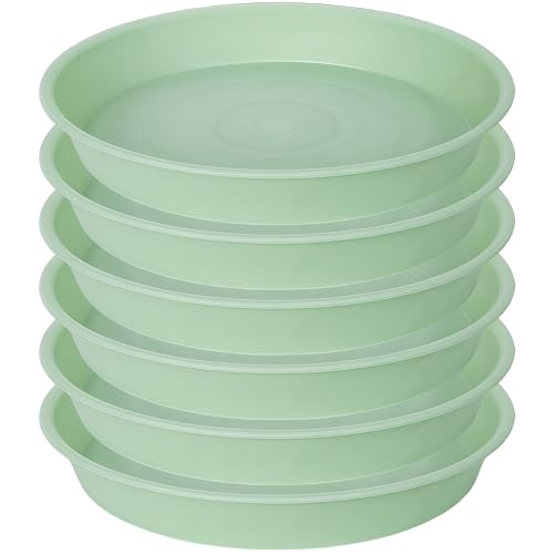2 Pack of 10 inch Plant Saucer Gray (10" (2 pack) / Light Green)
