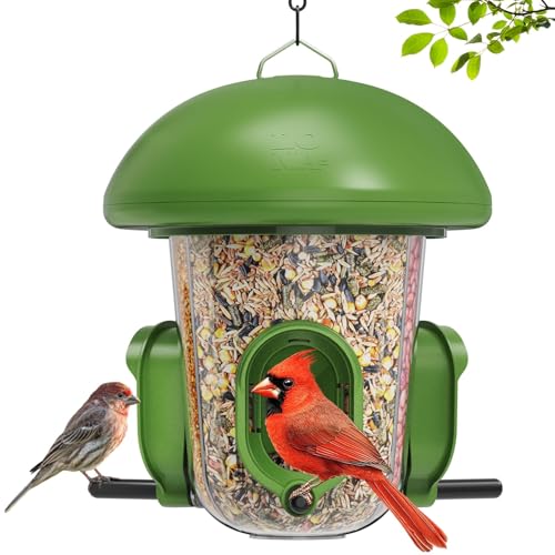 LONA Bird Feeder with 3 Compartments