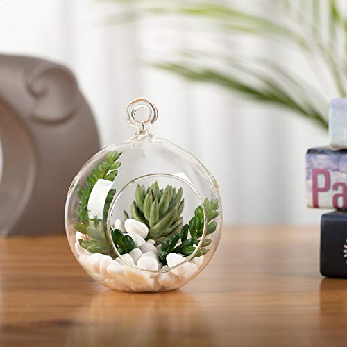 WGV Hanging Terrarium Globe (4")