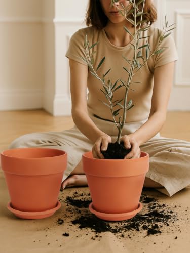 Terracotta Pot Set of 2 with Saucer (10/10 inch -2 pcs)