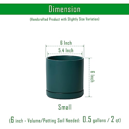 2 Pack Ceramic Pots with Saucers (2 Count)