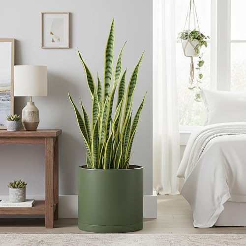 Plastic Planter Pot with Saucer (12 Inch / Olive)