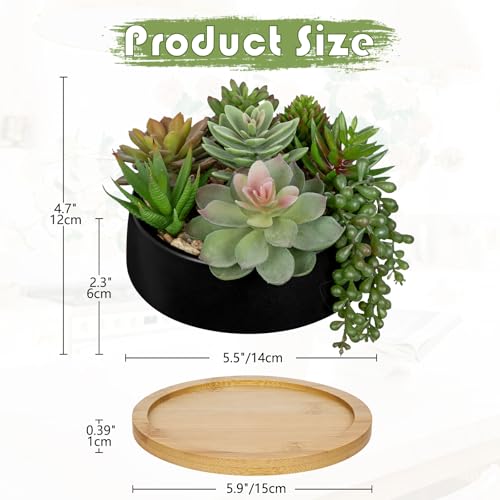 Artificial Succulent Plants in Pot 5.5 Inch Fake Succulents Arrangement Potted Plant in Black Ceramic Planter Bowl with Wood Saucer for Home Office Desk Shelf Living Room Bedroom Bathroom Decor (Black Ceramic With Saucer#style 2)