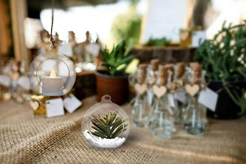 Hanging Glass Candle Holder (4 Count)