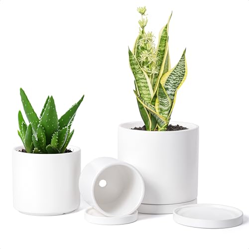 3 Pack White Terracotta Pots & Saucers (4+5+6 Inch / White)
