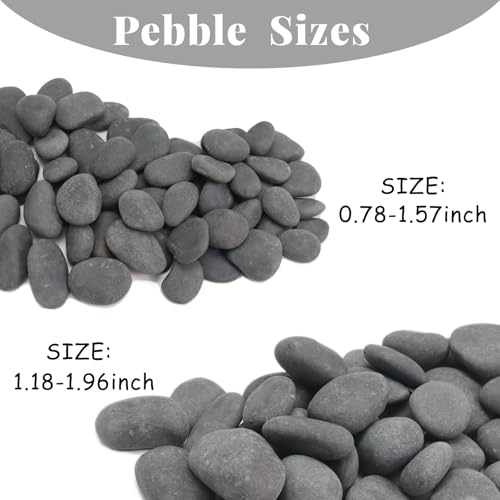 10LB Black Stones Pebbles River Rocks (0.8-1.5in / 10lb)