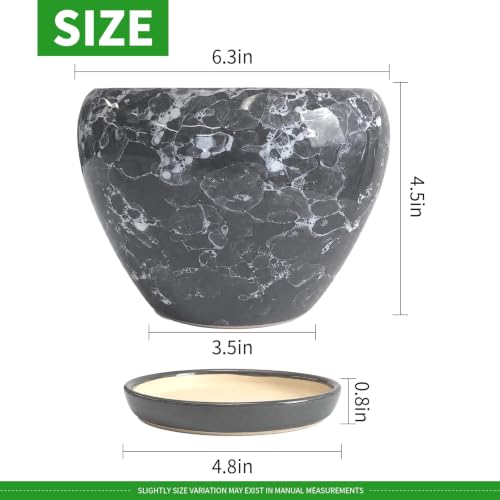 6 Inch Plant Pots (Gemstone Gray / 6 Inch)