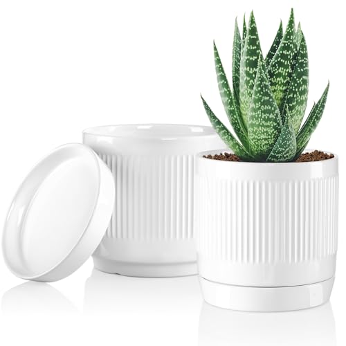 6 Inch Glazed Ceramic Plant Pots with Drainage Hole and Saucer (2 Count)