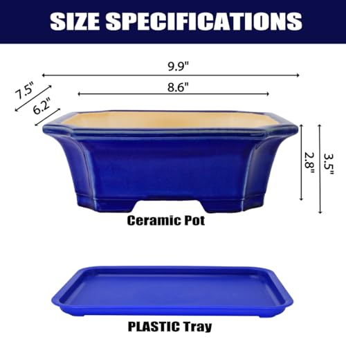 2pcs Green Ceramic Bonsai Planter Pots with Bamboo Tray 6.2 “ & 5.3” (Crackle Glazed 10")