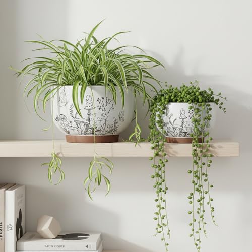 Terracotta Pots (6 Inch - 1 Pack / Cottage)
