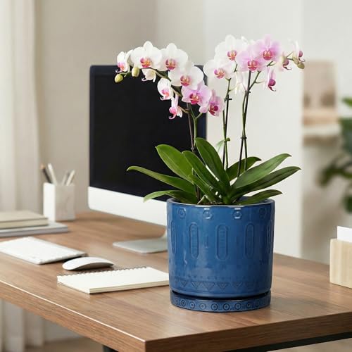 8 Inch Planter (8 Inch / Blue - 2)