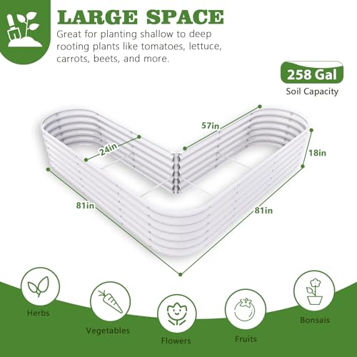 Anleolife 3 Bed Oval & Heart (3 Count)