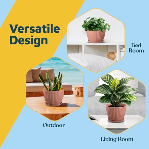 Pink 6 Inch Plant Pots with Drainage & Saucers 3 Pack (3 Count)