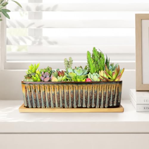 Succulent Pots (Flow Glaze)