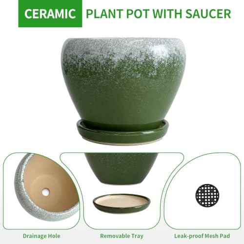 6 Inch Plant Pots (Blackish Green / 6 Inch)