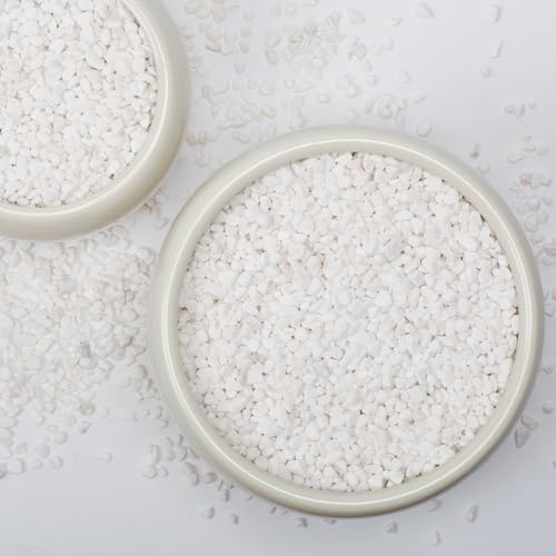 5lbs Natural Gravel Pebbles for Succulents and Cacti
