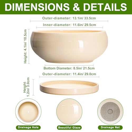 Large Succulent Planters (13 Inch / Beige)