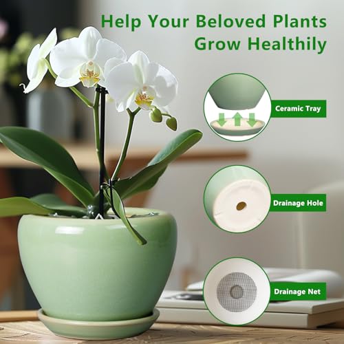 8 Inch Plant Pot