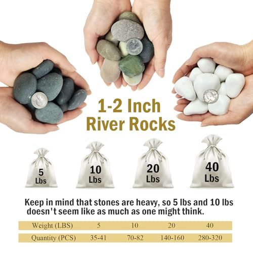 5 lbs White Rocks for Plants
