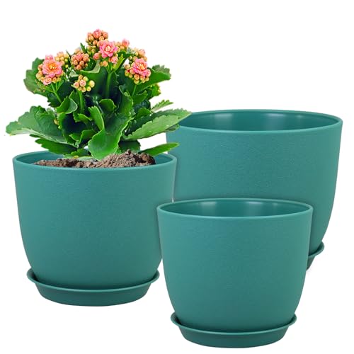 Flower Pots 10
