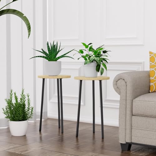 Plant Stand Indoor Outdoor (2 Count)