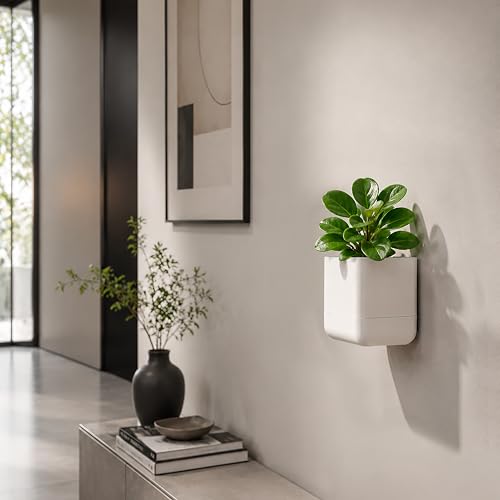 4.5 Inch Wall Mounted Self (4.5" (4 Pack) / Oatmeal)