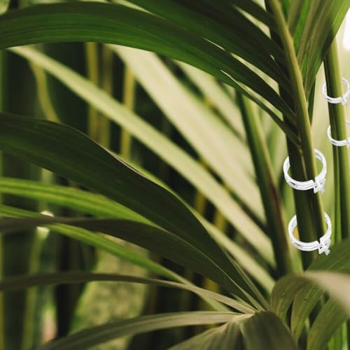 150 PCS Plant Support Clips Reusable Garden Clips (150 Count)