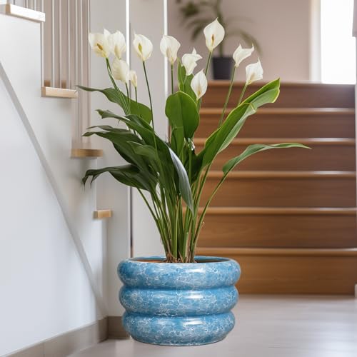 Ceramic Plant Pot Indoor with Drainage Hole 13.5 Inch