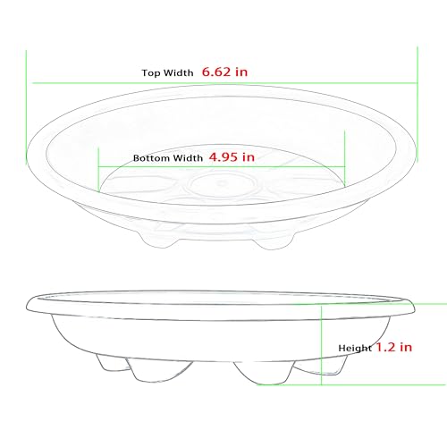 6 Pack of Plant Saucer 6 inch (6in*6 / Red)