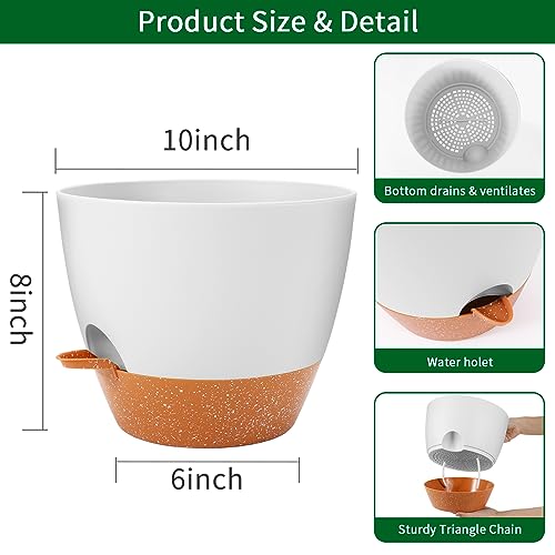 10 inch Plant Pots (2 Count)