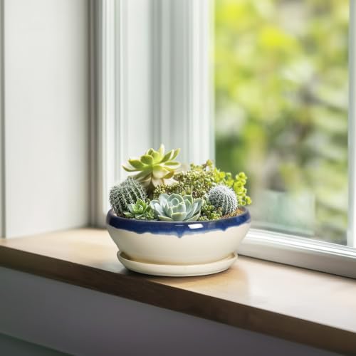 Succulent Pots 6 Inch (6 Inch / Blue-beige)