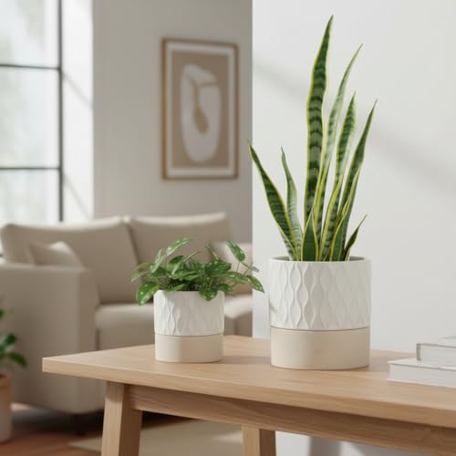 Ceramic Self Watering Plant Pot for Indoor Plants (Cream White & Brown Net / 4.5"+6" Self Watering)