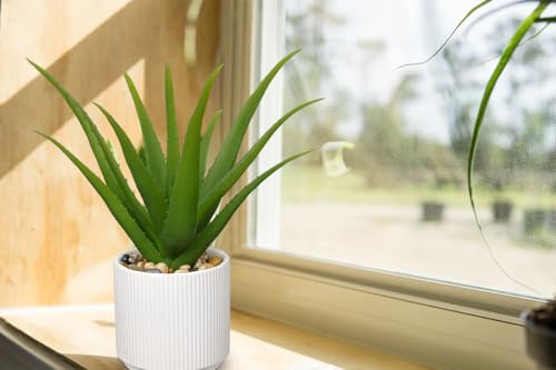 Artificial Succulent Aloe Plants 12 Inch Faux Succulents with Ceramic Pot Fake Aloe Potted Plant for Home Indoor Bathroom Table Bedroom Shelf Office Decor (Green Aloe-13")