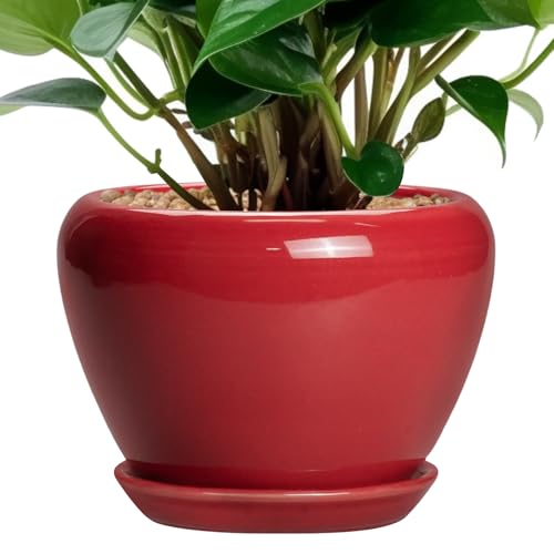 6 Inch Plant Pot (6 Inch / Glossy Red)