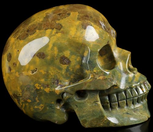 5.0” Ocean Jasper Crystal Skull (5.0 Inches Ocean Jasper 9)