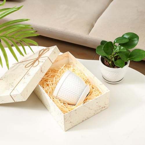 Sureasy Ceramic Plant Pots (4 Count)