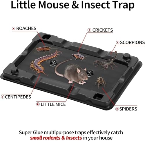 Mouse & Insect Traps 36 Pack (36 Pack / Small Mouse Traps)