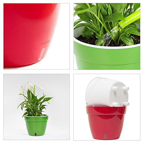 ASTI 7.9 Inch Self Watering Planter Gold