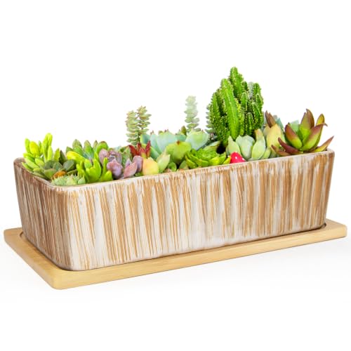 Succulent Pots (Wooden Pattern)